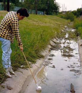  A worker taking larval samples from a ditch. Photo by Mike Merchant. 