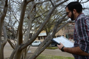 Erfan Vafaie checking for crape myrtle bark scale in Downtown Tyler