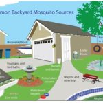Many backyard items can inadvertently provide mosquitoes with a breeding site. (Texas A&M AgriLife Extension Service graphic)