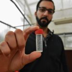 Erfan Vafaie holding a vial of whiteflies in a greenhouse. (Texas A&M AgriLife Extension Service photo by Adam Russell)