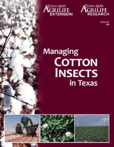 The Texas A&M AgriLife Extension Service’s new guide to cotton insect pest management is now available online. (Texas A&M AgriLife Extension Service photo)
